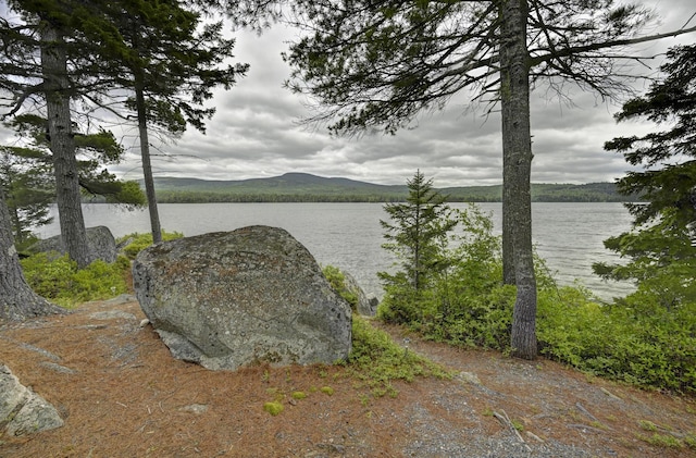 M18L1 Troutdale Rd, The Forks Plt, ME 04985 - water view