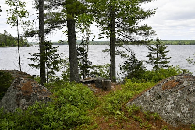 M18L1 Troutdale Rd, The Forks Plt, ME 04985 - water view