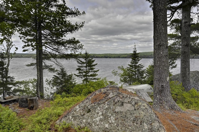 M18L1 Troutdale Rd, The Forks Plt, ME 04985 - water view