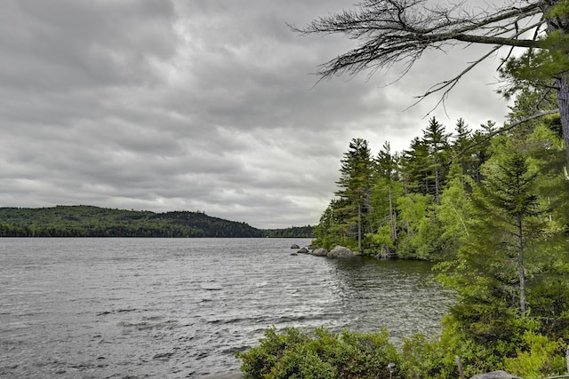 M18L1 Troutdale Rd, The Forks Plt, ME 04985 - water view with a forest