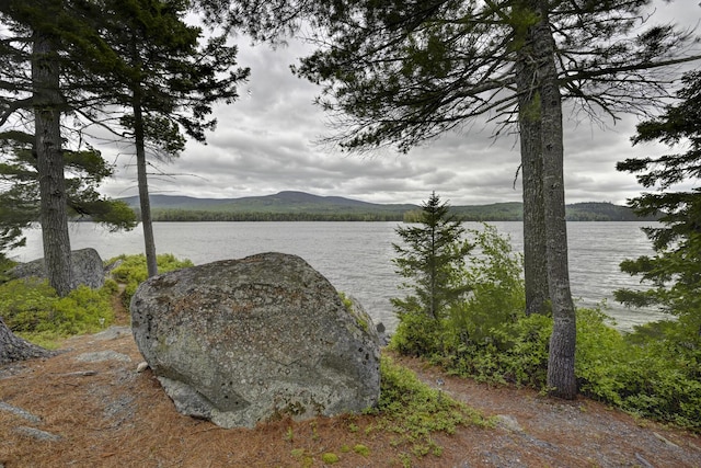 M18L1 Troutdale Rd, The Forks Plt, ME 04985 - water view