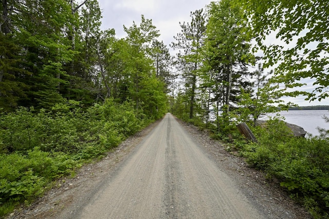 M18L1 Troutdale Rd, The Forks Plt, ME 04985 - view of dirt / gravel road with a water view