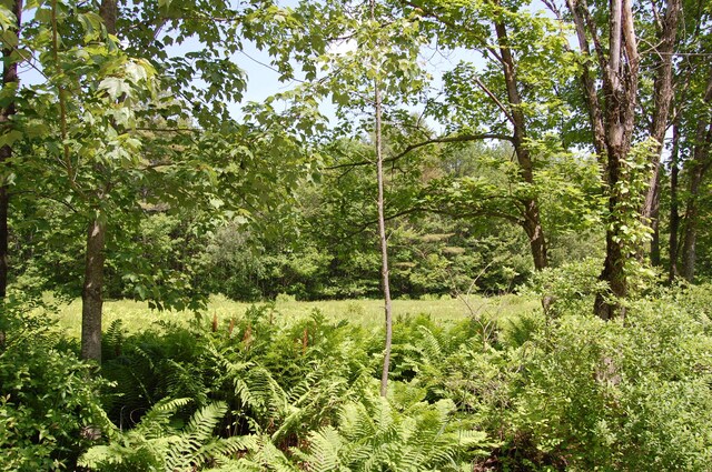 0 New Gloucester Rd, North Yarmouth, ME 04097 - photo 3