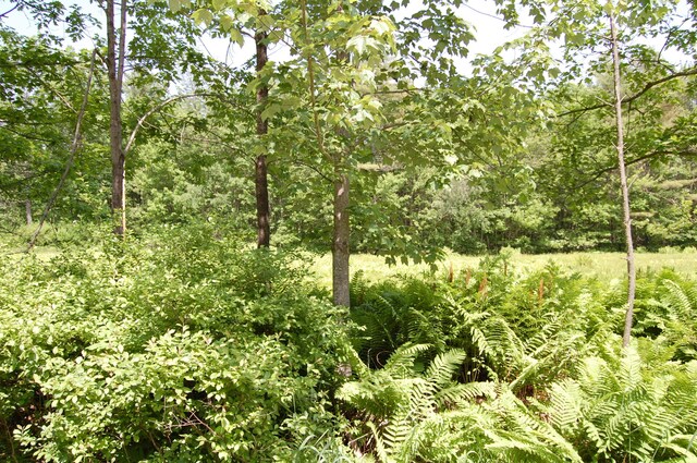 0 New Gloucester Rd, North Yarmouth, ME 04097 - photo 4