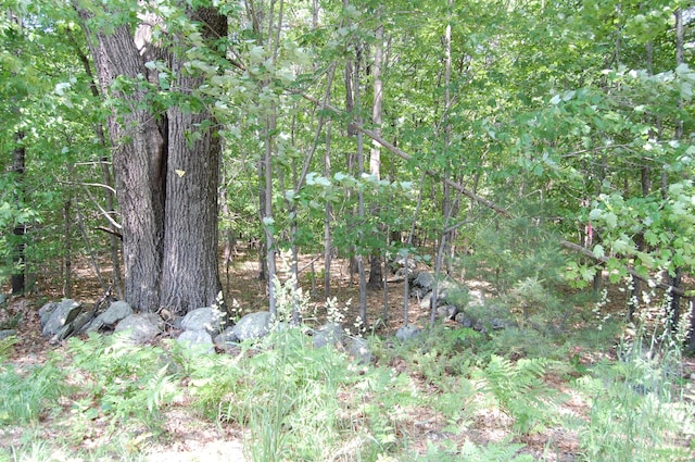 0 New Gloucester Rd, North Yarmouth, ME 04097 - photo 5