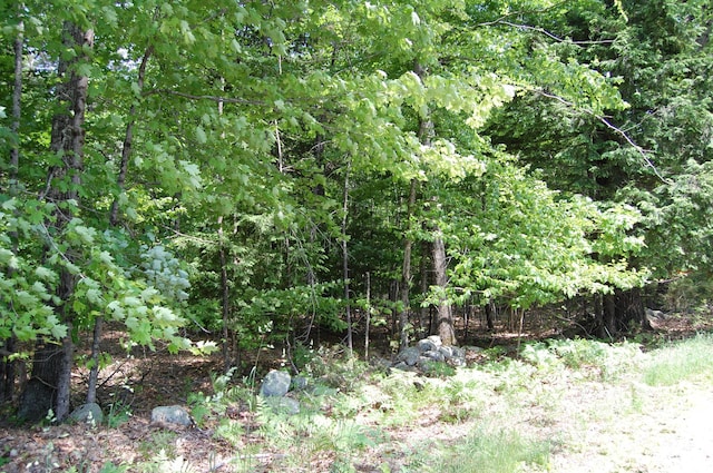 0 New Gloucester Rd, North Yarmouth, ME 04097 - photo 6