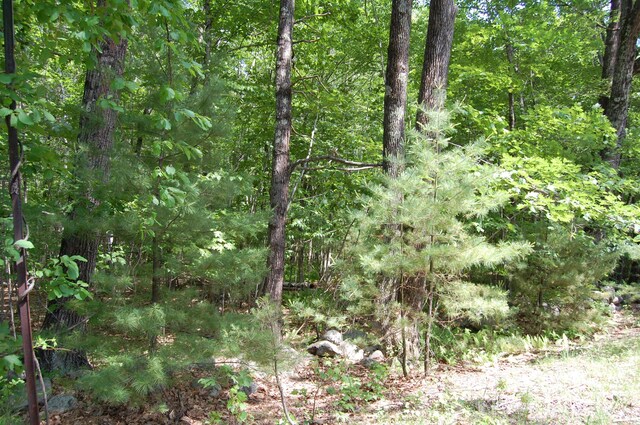 0 New Gloucester Rd, North Yarmouth, ME 04097 - photo 7