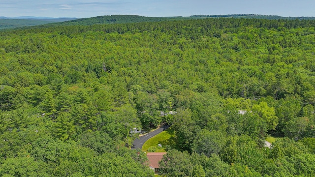 111 Edes Falls Rd, Harrison, ME 04040 - photo 46