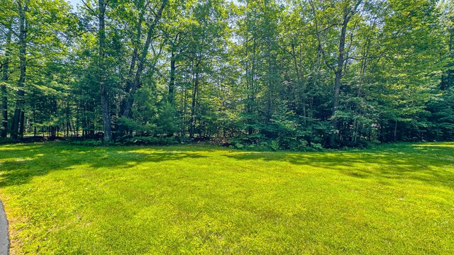 111 Edes Falls Rd, Harrison, ME 04040 - photo 41