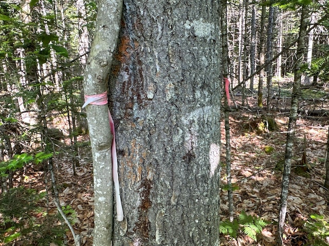 708 Howland Rd, Lagrange, ME 04453