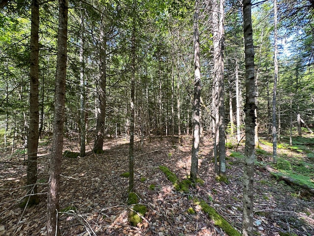 708 Howland Rd, Lagrange, ME 04453