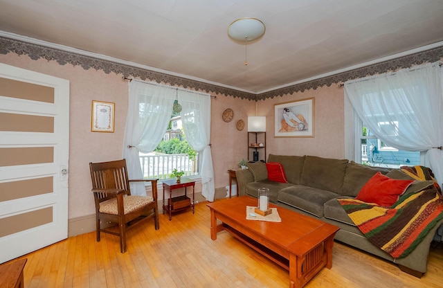 12 Court St, Rochester, NH 03867 - living area with light wood-type flooring and crown molding