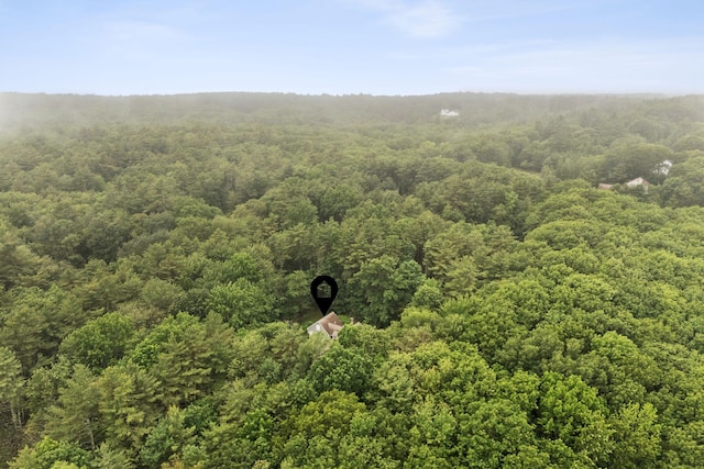 3 Flintlock Ln, Falmouth, ME 04105 - bird's eye view of a heavily wooded area