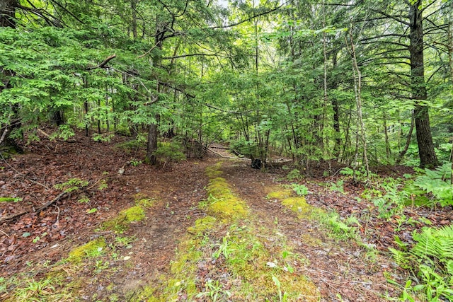 8 Beech Hill Rd, Northport, ME 04849 - photo 14