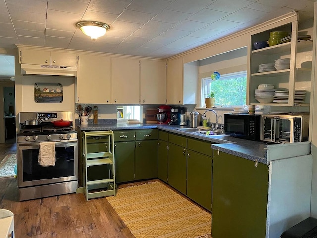 22 Lamb Farm Rd, Brunswick, ME 04011 - kitchen featuring appliances with stainless steel finishes, green cabinets, under cabinet range hood, light wood-type flooring, and crown molding