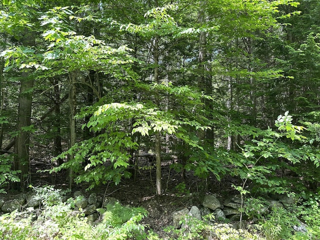TBD Dingley Rd, Bowdoinham, ME 04008