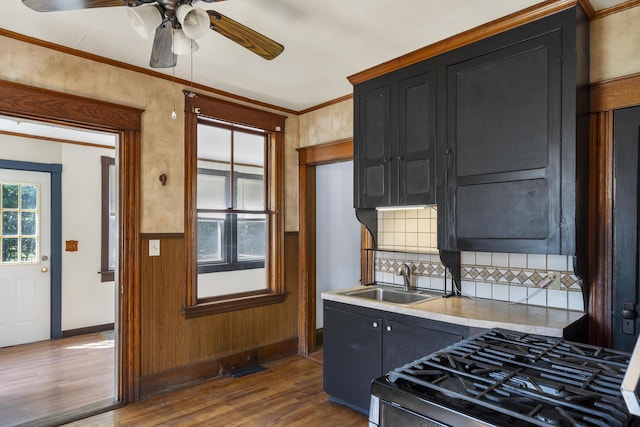 8 Riverview Ave, Lewiston, ME 04240 - kitchen featuring dark cabinetry, wood finished floors, tasteful backsplash, a ceiling fan, and crown molding
