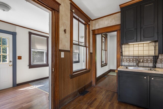 8 Riverview Ave, Lewiston, ME 04240 - kitchen with dark cabinets, dark wood-style flooring, ornamental molding, backsplash, and light countertops