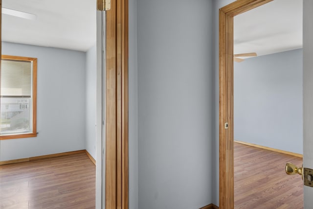 8 Riverview Ave, Lewiston, ME 04240 - hallway with wood finished floors and baseboards