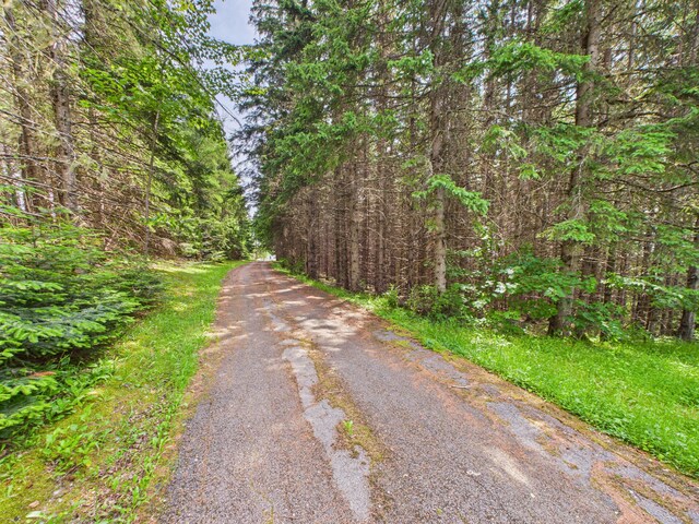 161 Donworth St, Stockholm, ME 04783 - photo 29