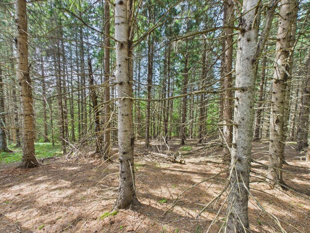 161 Donworth St, Stockholm, ME 04783 - photo 33