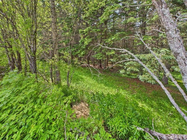 161 Donworth St, Stockholm, ME 04783 - photo 37
