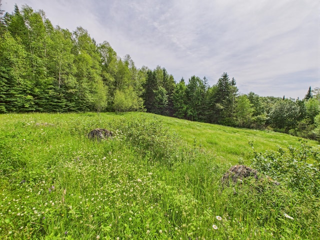 161 Donworth St, Stockholm, ME 04783 - photo 28