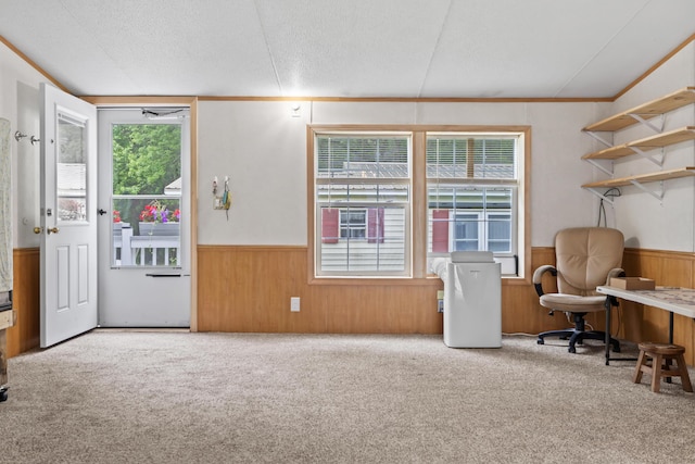 26 Caincrest Rd, York, ME 03909 - office space with wainscoting, carpet floors, wood walls, and a textured ceiling