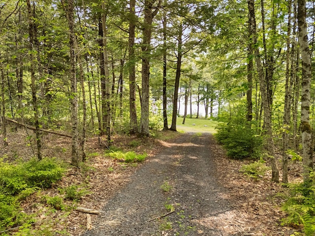 660 Sprague Rd, Waldoboro, ME 04572 - view of road featuring a view of trees