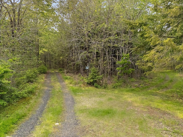 660 Sprague Rd, Waldoboro, ME 04572 - view of street featuring a wooded view