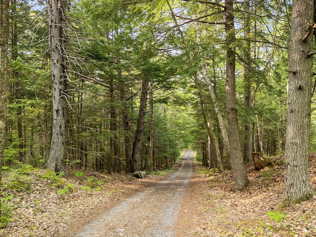 660 Sprague Rd, Waldoboro, ME 04572 - view of street with a view of trees