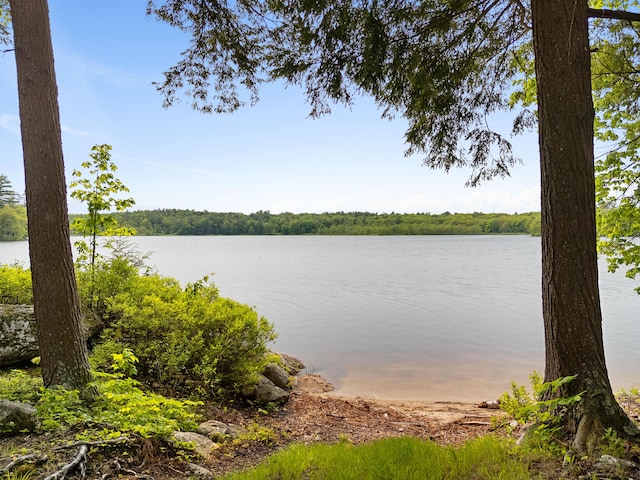 660 Sprague Rd, Waldoboro, ME 04572 - water view featuring a heavily wooded area