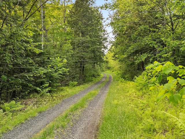 660 Sprague Rd, Waldoboro, ME 04572 - view of road featuring a view of trees