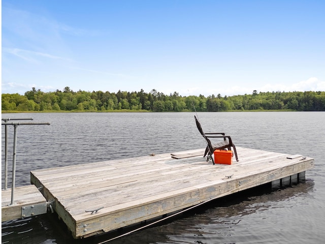 660 Sprague Rd, Waldoboro, ME 04572 - dock featuring a water view and a view of trees