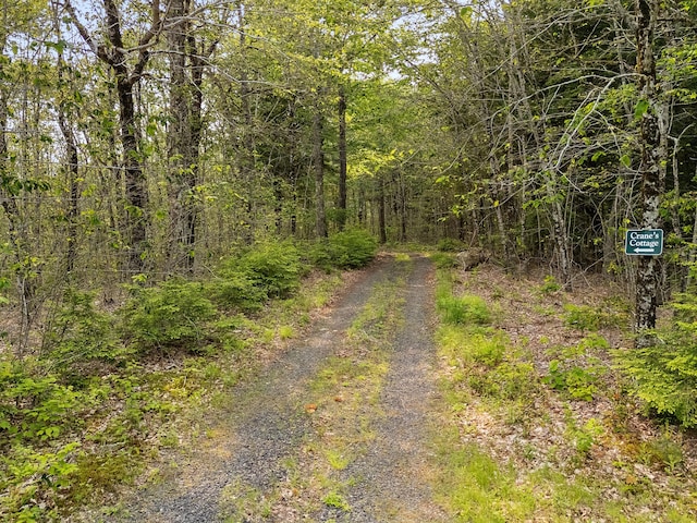 660 Sprague Rd, Waldoboro, ME 04572 - view of road featuring a view of trees