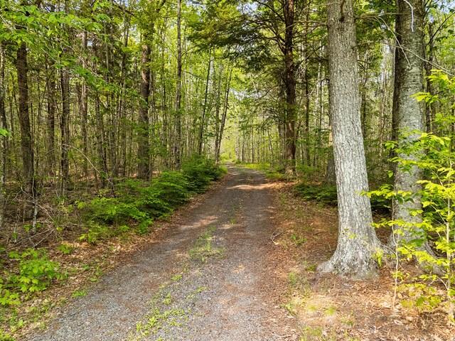 660 Sprague Rd, Waldoboro, ME 04572 - view of road featuring a forest view