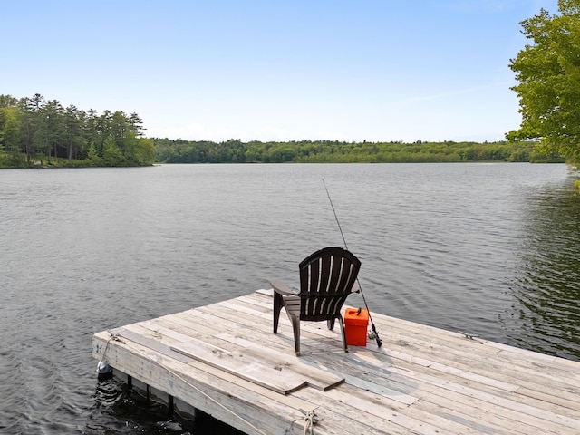 660 Sprague Rd, Waldoboro, ME 04572 - dock with a water view and a view of trees
