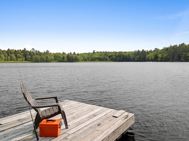 660 Sprague Rd, Waldoboro, ME 04572 - dock area with a water view and a forest view