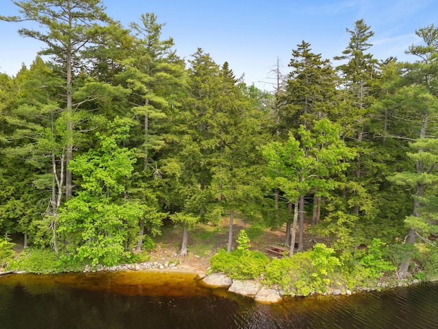 660 Sprague Rd, Waldoboro, ME 04572 - view of local wilderness
