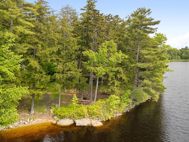 660 Sprague Rd, Waldoboro, ME 04572 - water view featuring a heavily wooded area