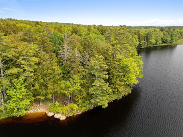 660 Sprague Rd, Waldoboro, ME 04572 - aerial view of a heavily wooded area and a nearby body of water