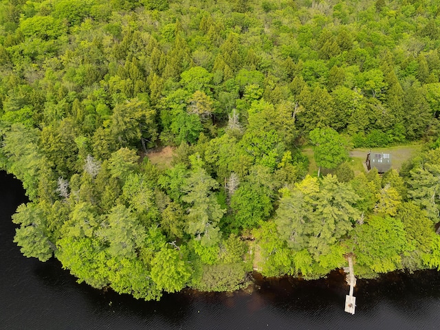 660 Sprague Rd, Waldoboro, ME 04572 - bird's eye view of a nearby body of water and a forest