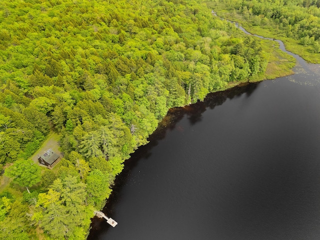 660 Sprague Rd, Waldoboro, ME 04572 - aerial view of a large body of water and a forest