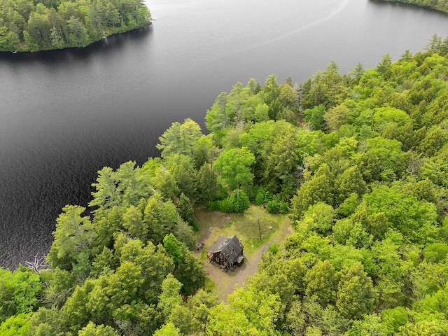 660 Sprague Rd, Waldoboro, ME 04572 - drone / aerial view of a large body of water