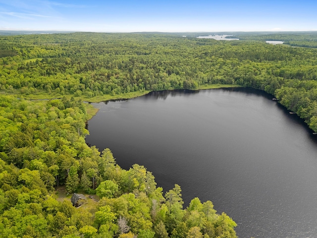 660 Sprague Rd, Waldoboro, ME 04572 - drone / aerial view of a forest and a large body of water