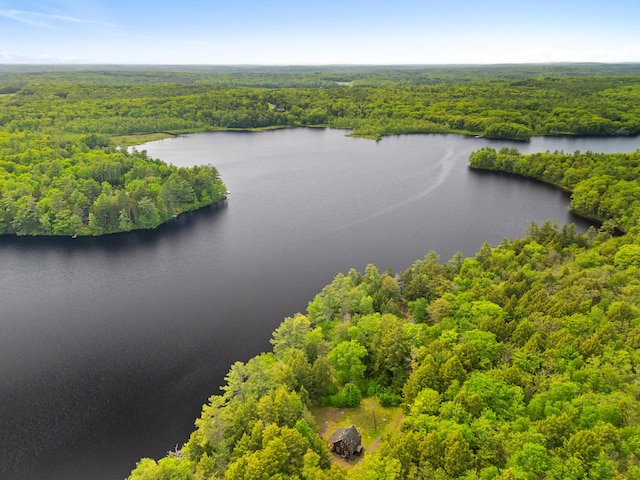 660 Sprague Rd, Waldoboro, ME 04572 - bird's eye view of a forest and a large body of water