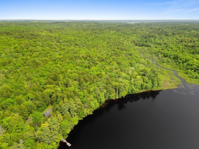 660 Sprague Rd, Waldoboro, ME 04572 - drone / aerial view of a forest and a large body of water