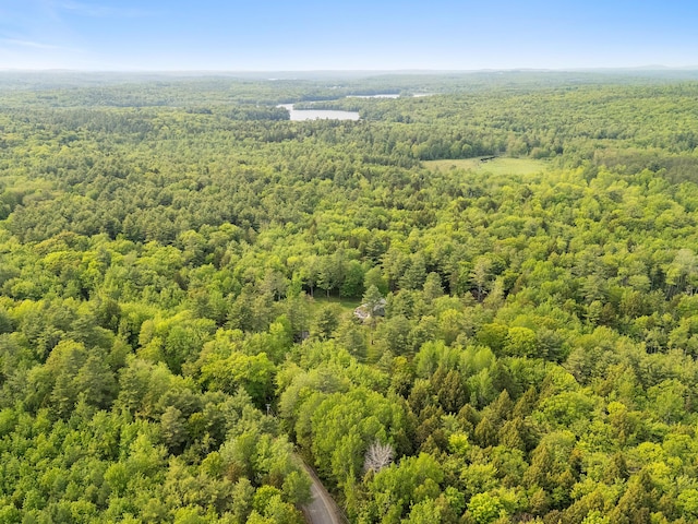 660 Sprague Rd, Waldoboro, ME 04572 - drone / aerial view of a forest
