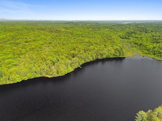 660 Sprague Rd, Waldoboro, ME 04572 - aerial view of a forest and a large body of water