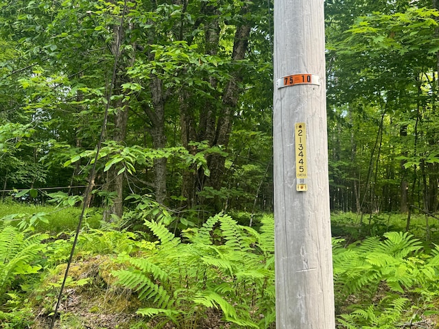 LOT17 Quarry Ave, Brownville, ME 04414 - photo 2